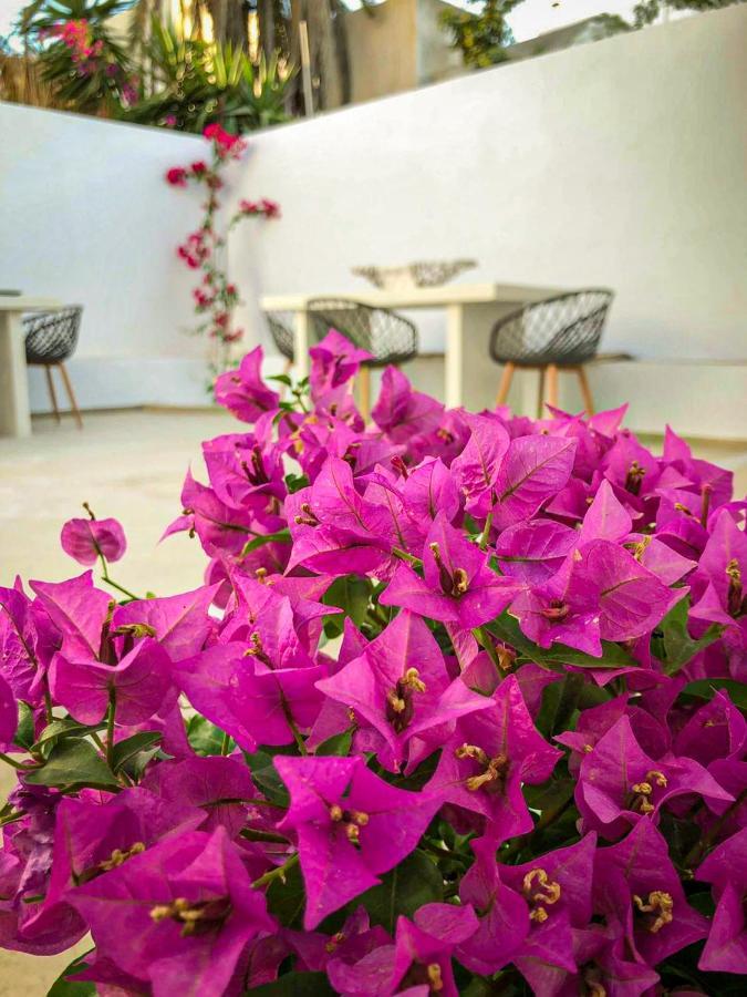 Ds Traditional Villas Santorini Island Karterados  Exteriör bild